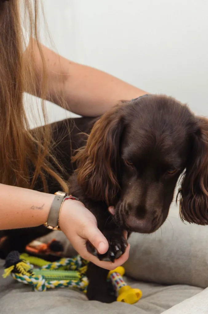 WhatsApp Image 2025-09-26 at 10.36.46.webp