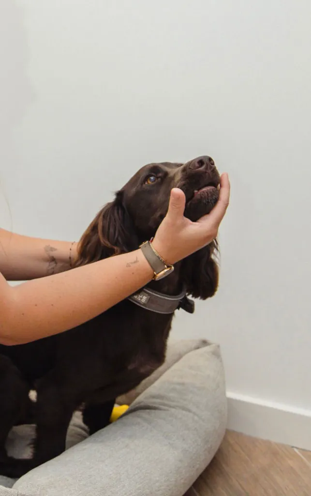 WhatsApp Image 2025-09-26 at 10.36.46 (1).webp