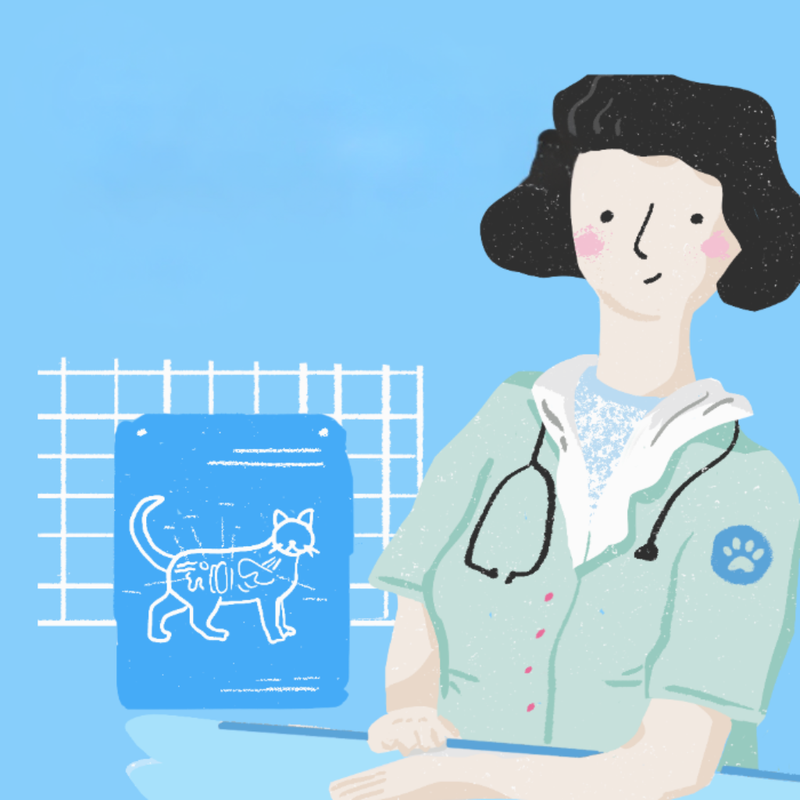 Animal Clinic 