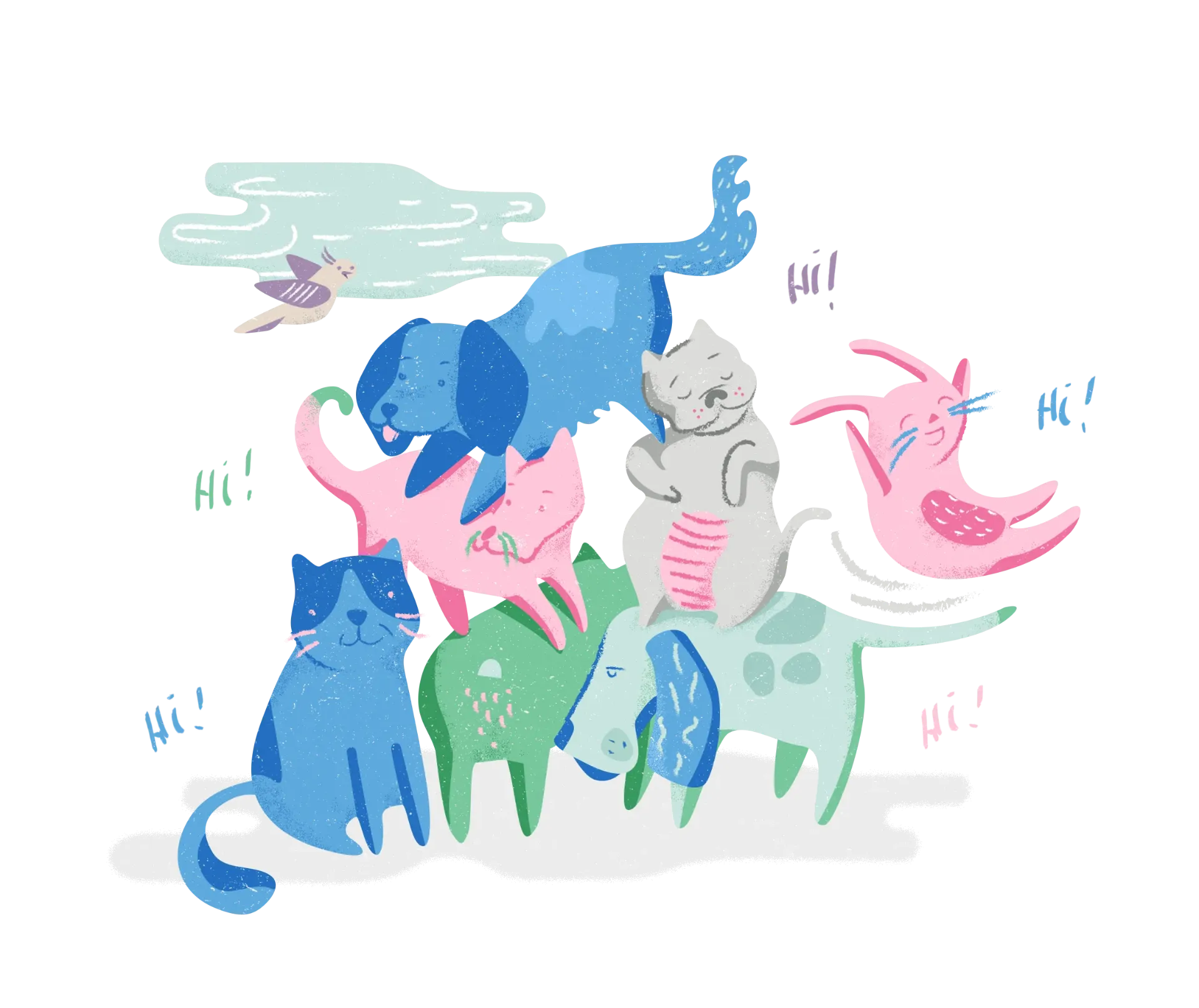 Tu es un pro ? Rejoins la team MoPETS !